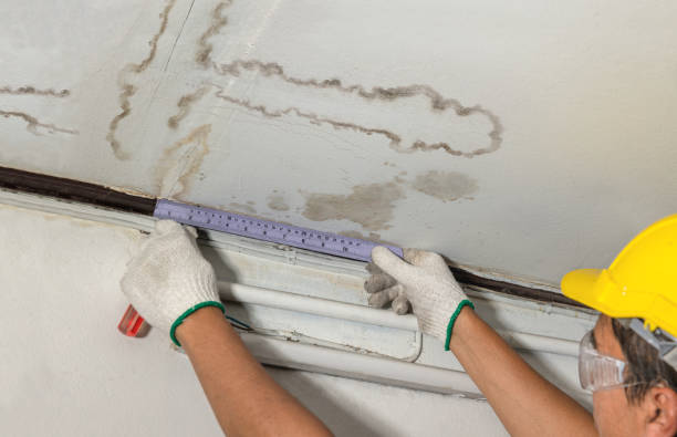 Reliable Basement Water Removal contractor in Ellensburg, WA by Water Damage Irwin